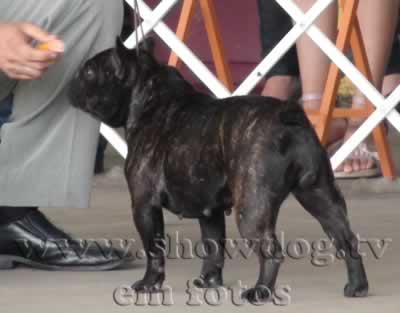 Clique sobre a foto para fechar